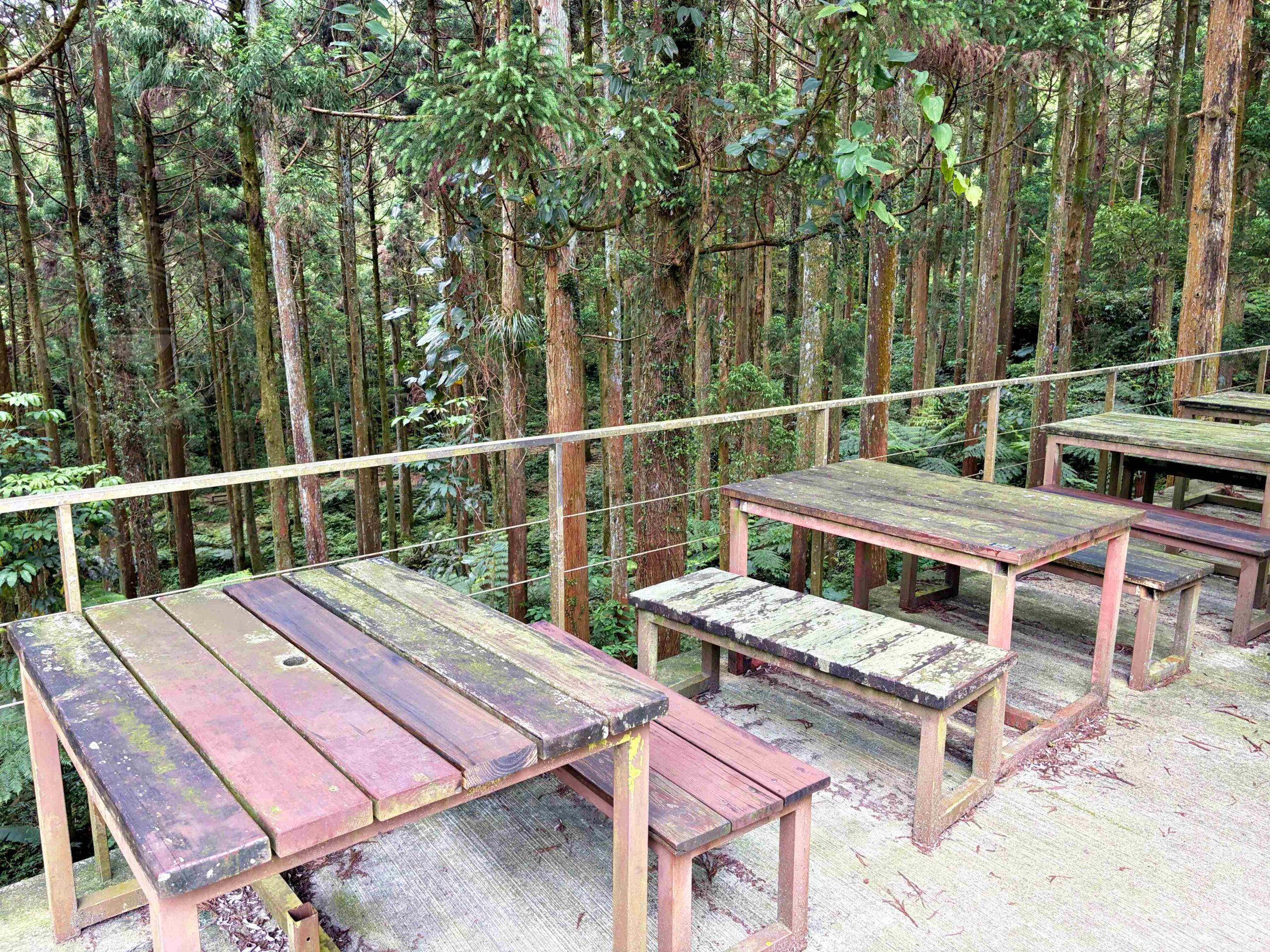 【三峽美食】禾煦熊空茶園，海拔700公尺的森林秘境眺望城市景觀推薦(資訊整理、門票) @趙先生吃飯