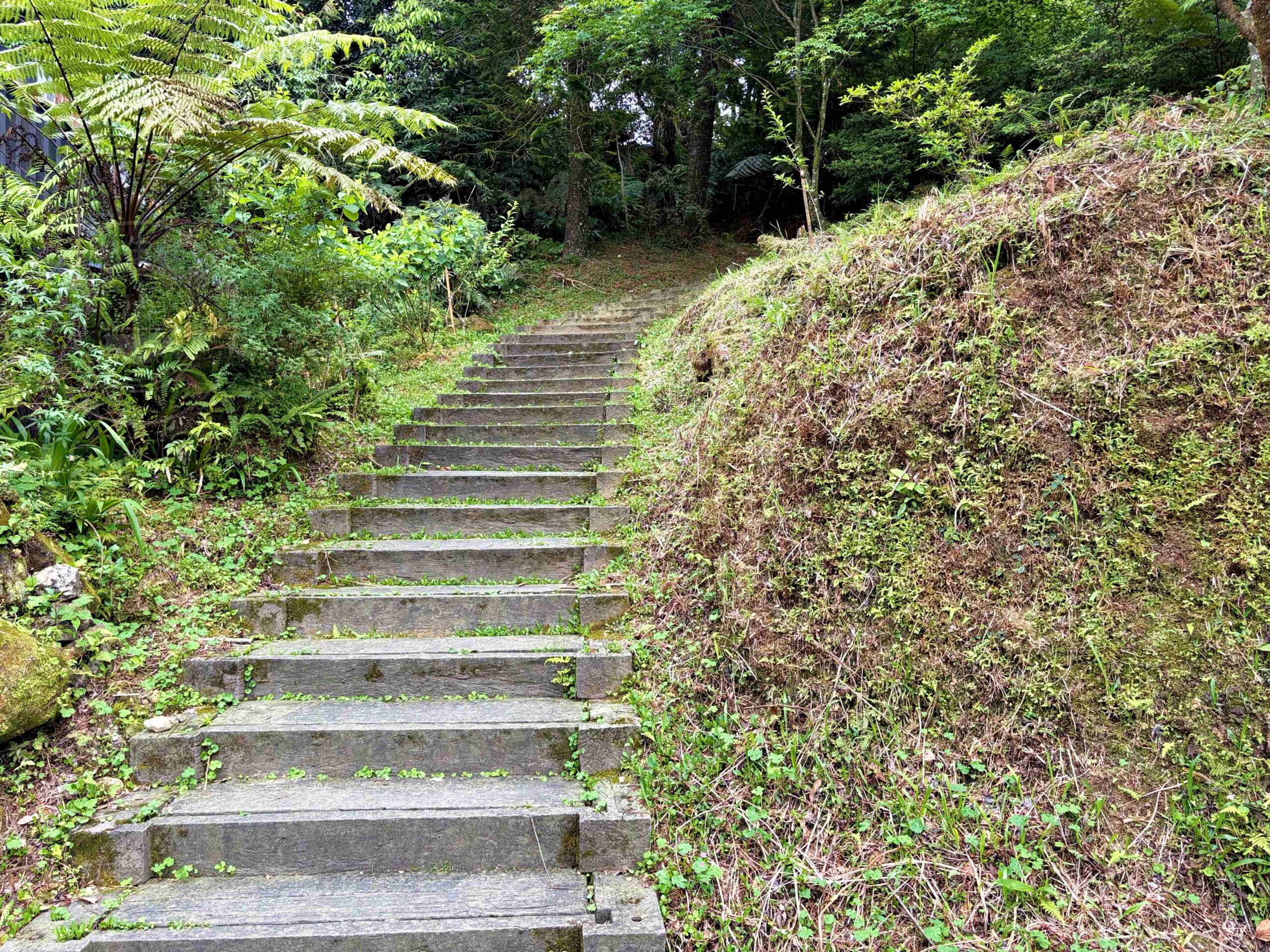 【三峽美食】禾煦熊空茶園，海拔700公尺的森林秘境眺望城市景觀推薦(資訊整理、門票) @趙先生吃飯