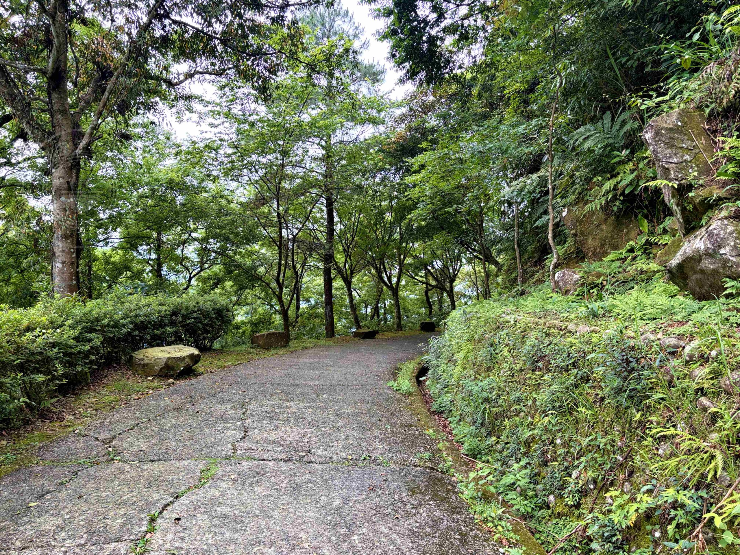 【三峽美食】禾煦熊空茶園，海拔700公尺的森林秘境眺望城市景觀推薦(資訊整理、門票) @趙先生吃飯
