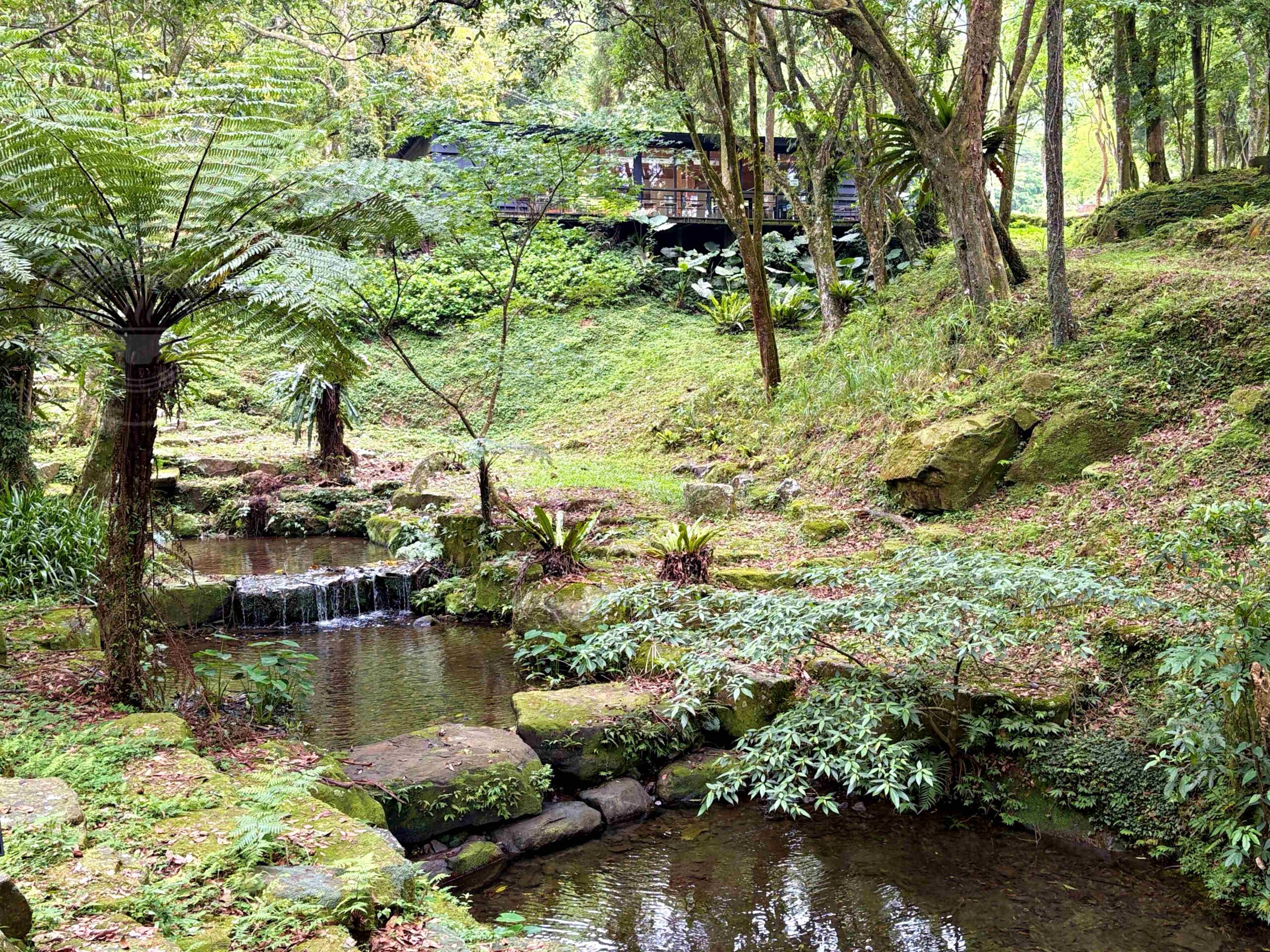 【三峽美食】禾煦熊空茶園，海拔700公尺的森林秘境眺望城市景觀推薦(資訊整理、門票) @趙先生吃飯