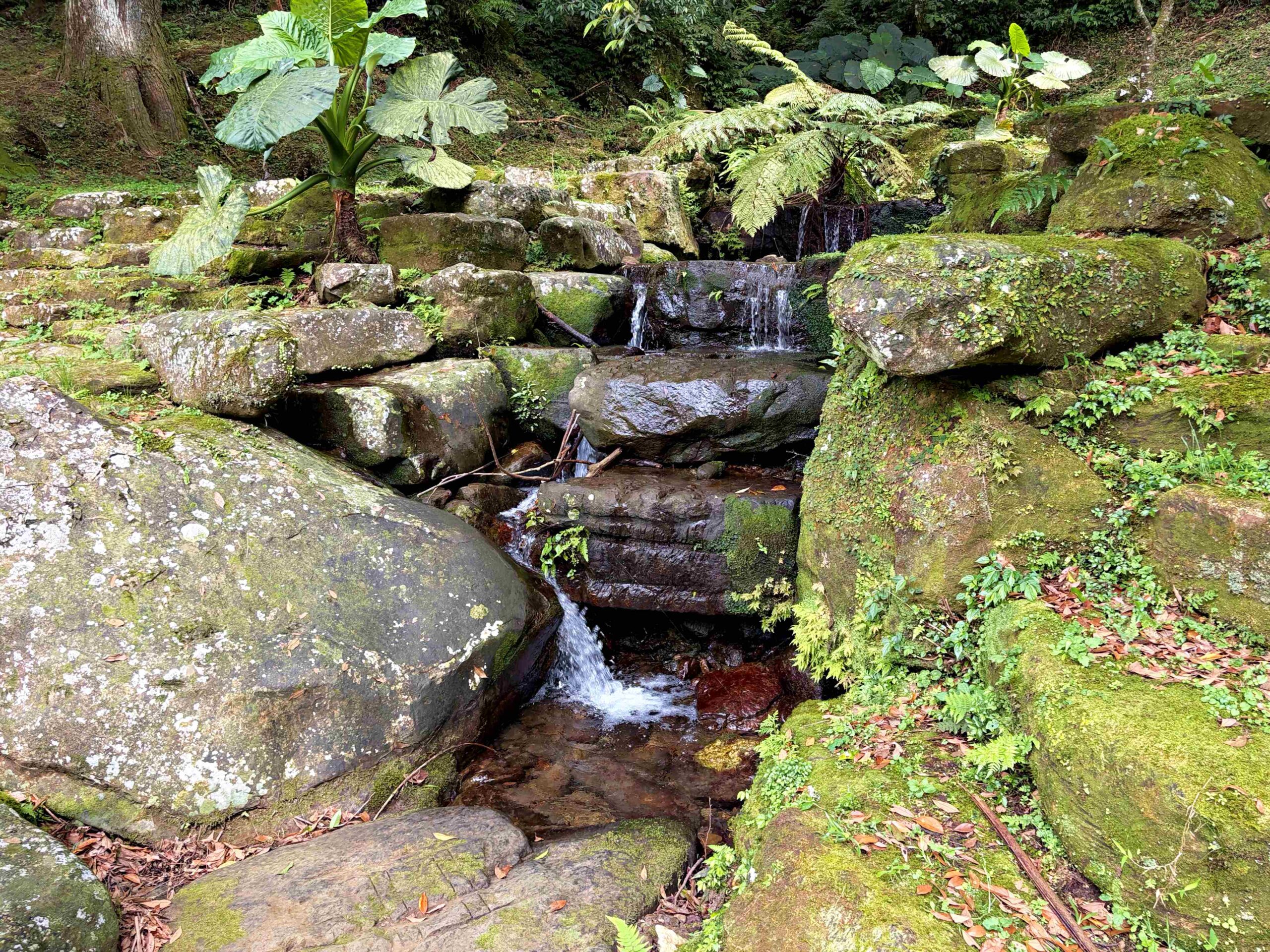 【三峽美食】禾煦熊空茶園，海拔700公尺的森林秘境眺望城市景觀推薦(資訊整理、門票) @趙先生吃飯