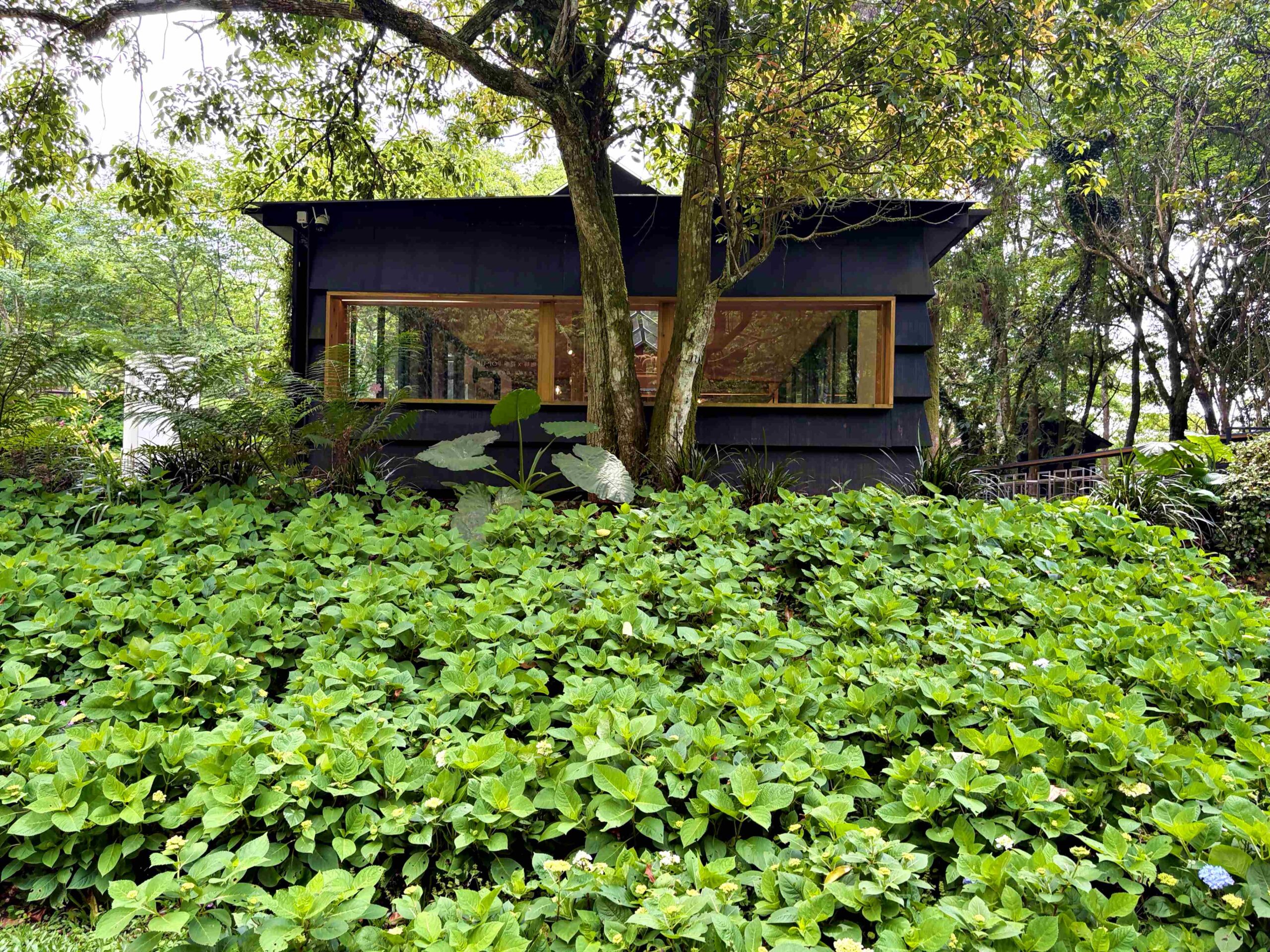 【三峽美食】禾煦熊空茶園，海拔700公尺的森林秘境眺望城市景觀推薦(資訊整理、門票) @趙先生吃飯