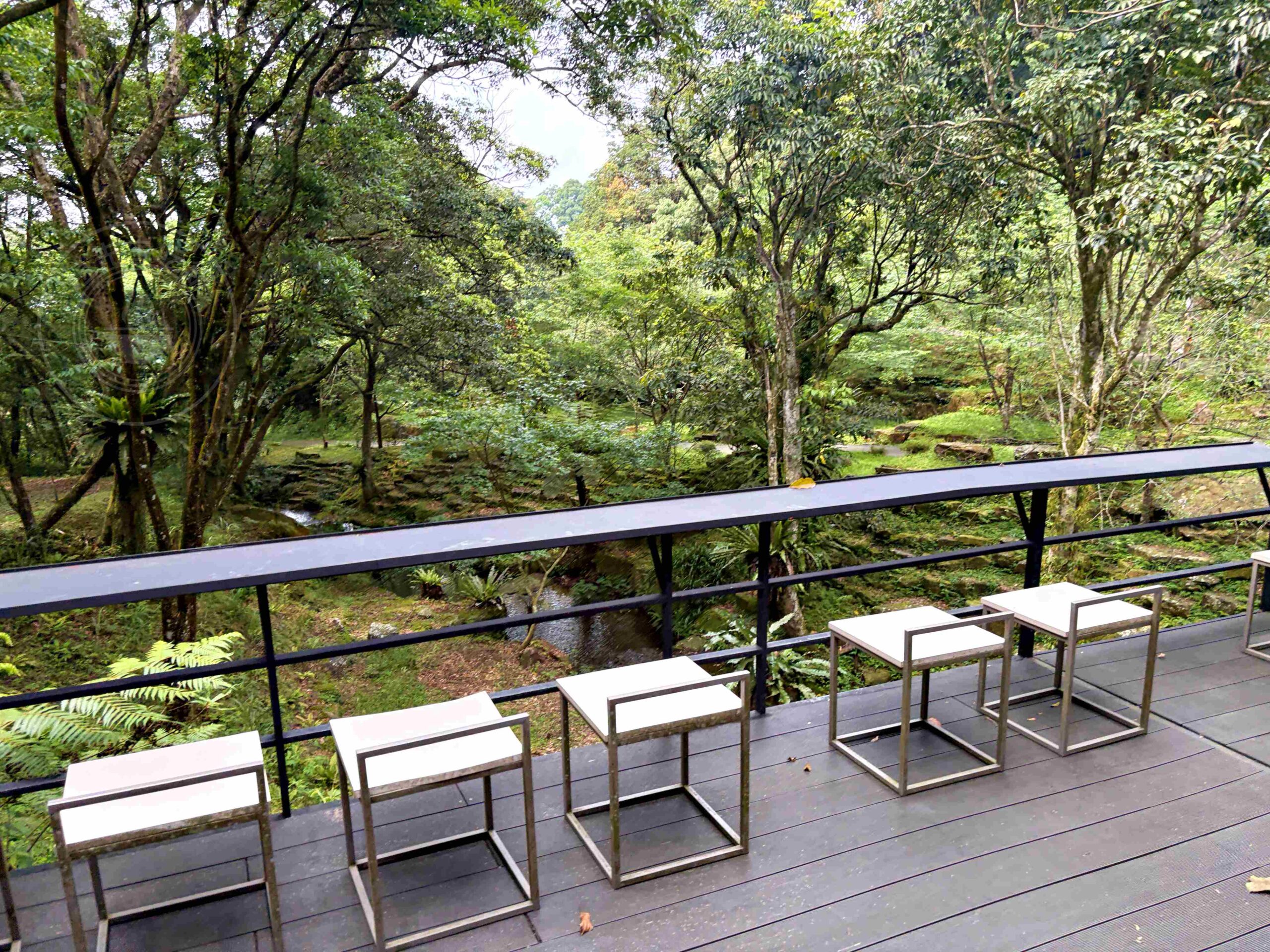 【三峽美食】禾煦熊空茶園，海拔700公尺的森林秘境眺望城市景觀推薦(資訊整理、門票) @趙先生吃飯