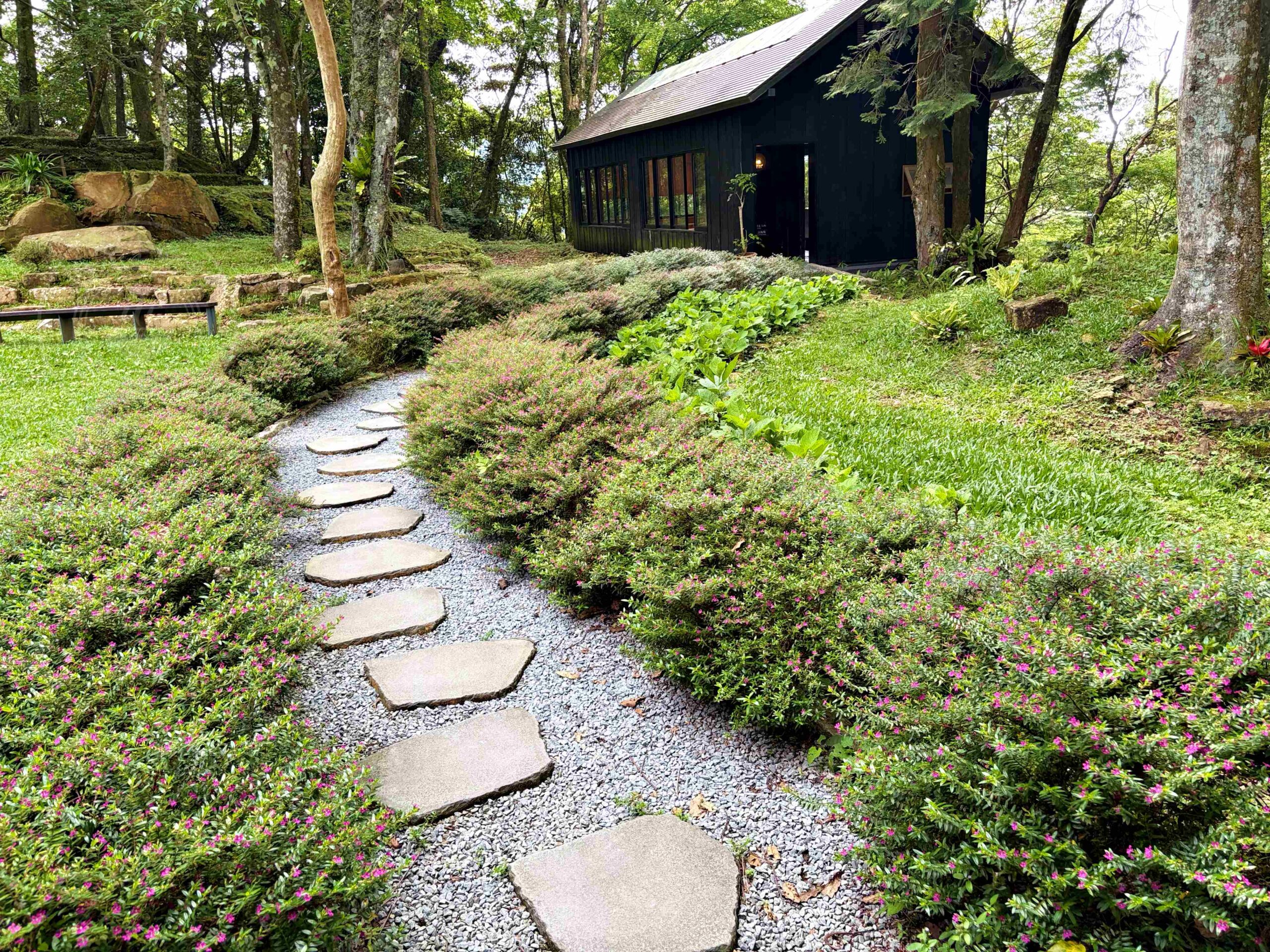 【三峽美食】禾煦熊空茶園，海拔700公尺的森林秘境眺望城市景觀推薦(資訊整理、門票) @趙先生吃飯