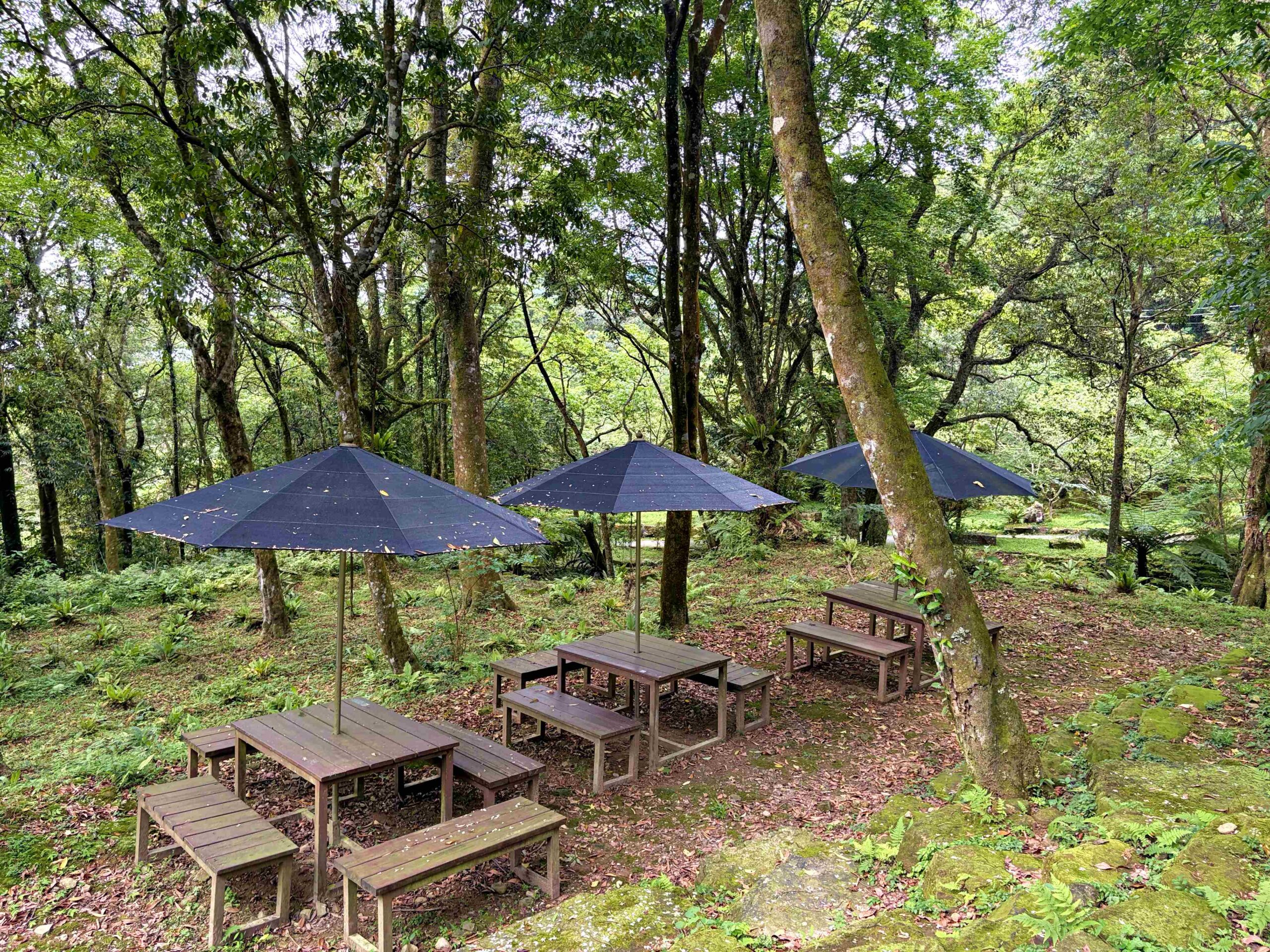 【三峽美食】禾煦熊空茶園，海拔700公尺的森林秘境眺望城市景觀推薦(資訊整理、門票) @趙先生吃飯