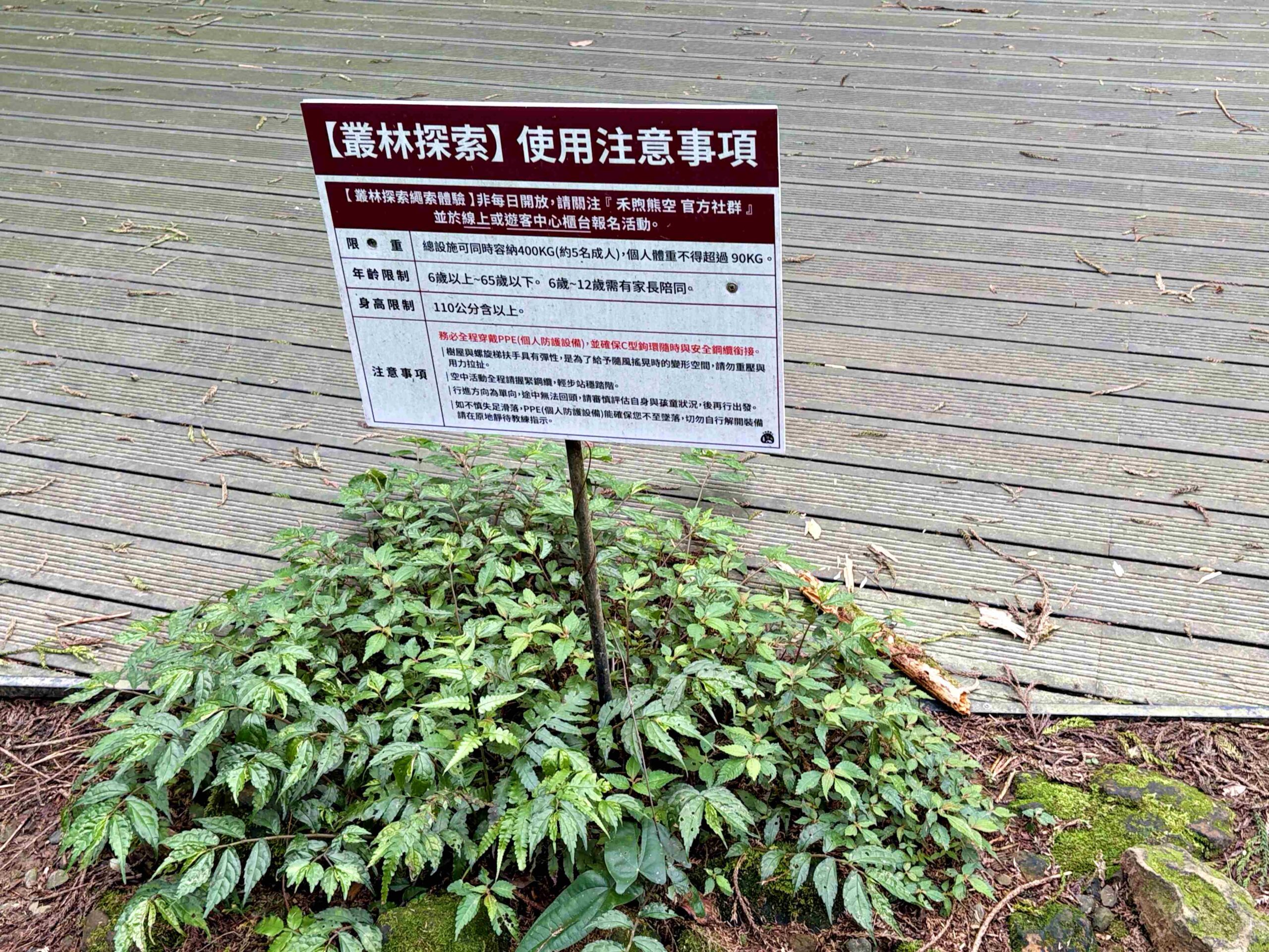 【三峽美食】禾煦熊空茶園，海拔700公尺的森林秘境眺望城市景觀推薦(資訊整理、門票) @趙先生吃飯