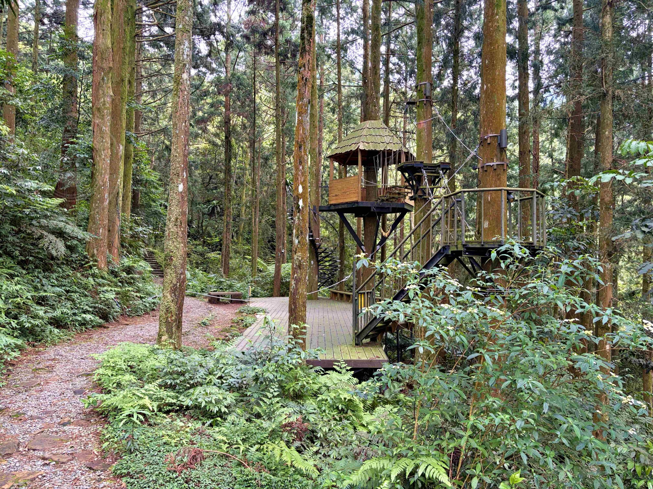 【三峽美食】禾煦熊空茶園，海拔700公尺的森林秘境眺望城市景觀推薦(資訊整理、門票) @趙先生吃飯