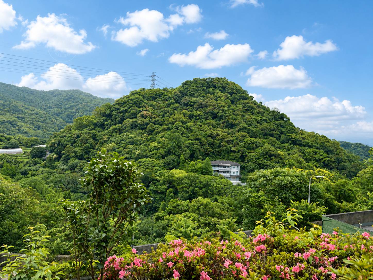 【內湖景點】碧山巖開漳聖王廟，免費好停車的散步路線，遠眺台北101推薦(白石湖吊橋) @趙先生吃飯