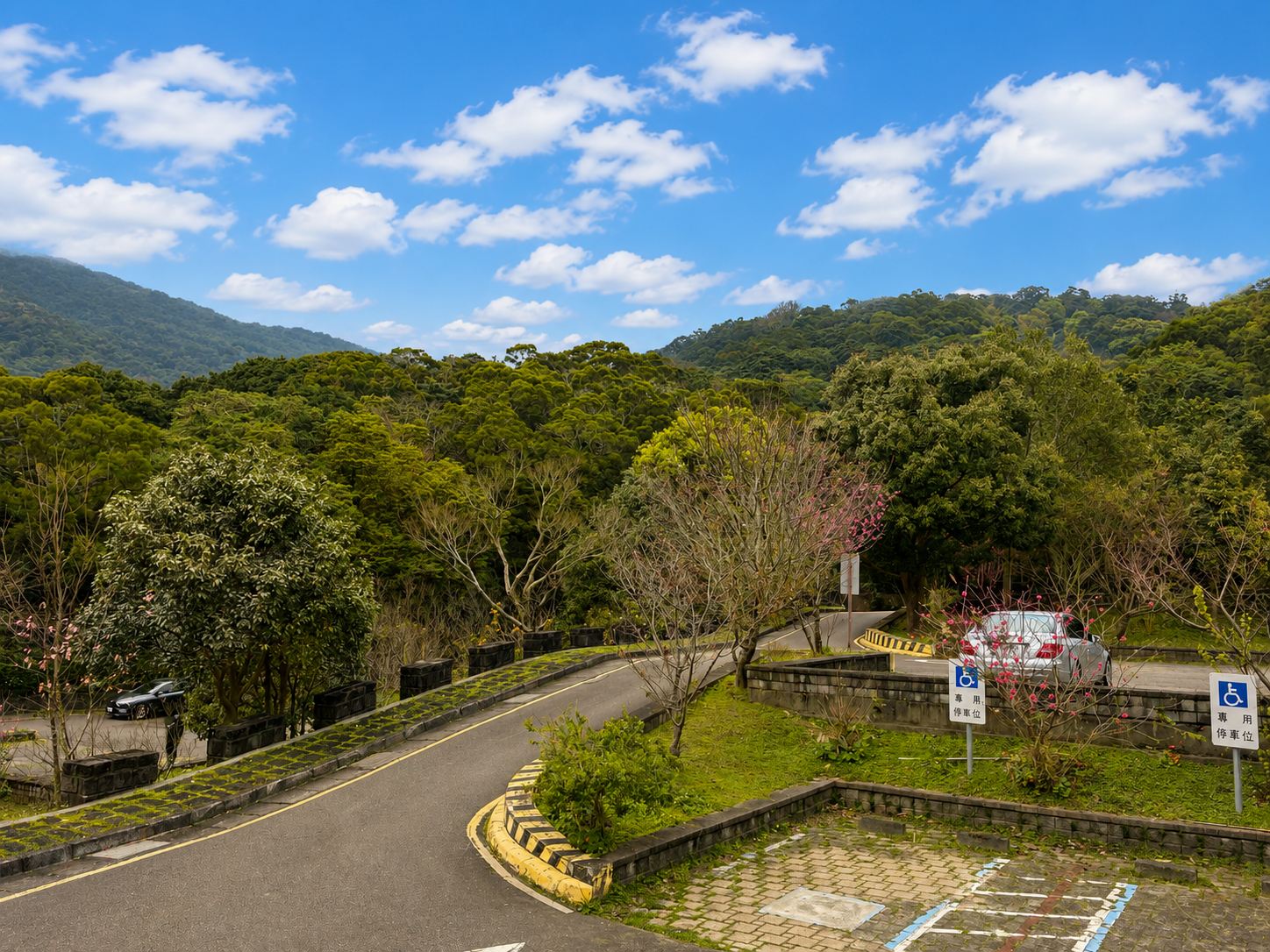 【北投/陽明山景點】中正山親山步道，15分鐘輕鬆登頂，大台北環繞風景推薦(360度觀景台) @趙先生吃飯
