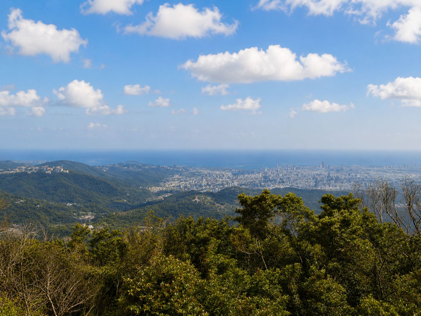 【北投/陽明山景點】中正山親山步道,15分鐘輕鬆登頂,大台北環繞風景推薦(360度觀景台) @趙先生吃飯 【北投/陽明山景點】中正山親山步道,15分鐘輕鬆登頂,大台北環繞風景推薦(360度觀景台) @趙先生吃飯