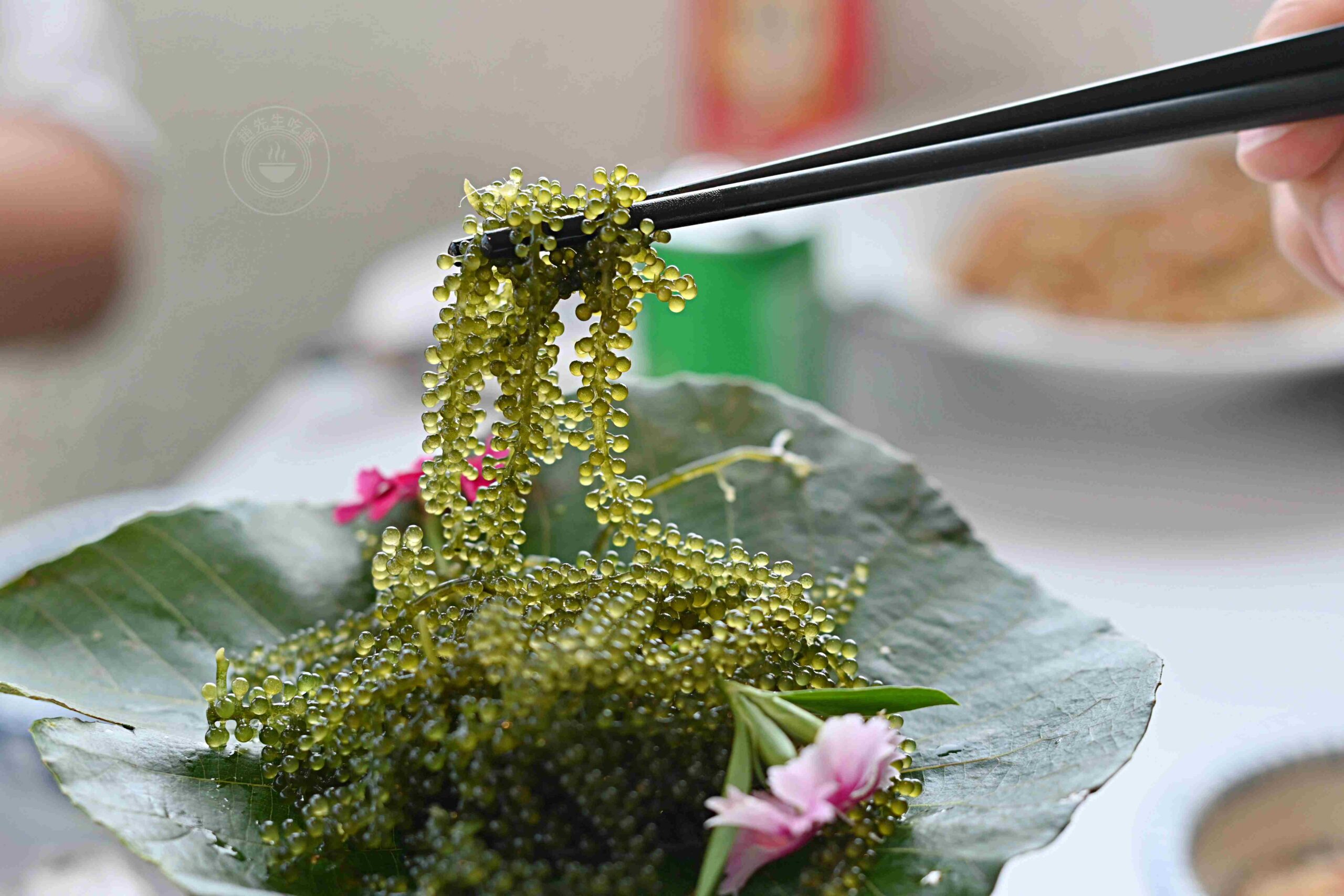 【貢寮美食】懸崖上的餐廳（cilah海的味道），遠眺龜山島無敵視野，濱海公路隱藏版秘境餐廳推薦(菜單) @趙先生吃飯