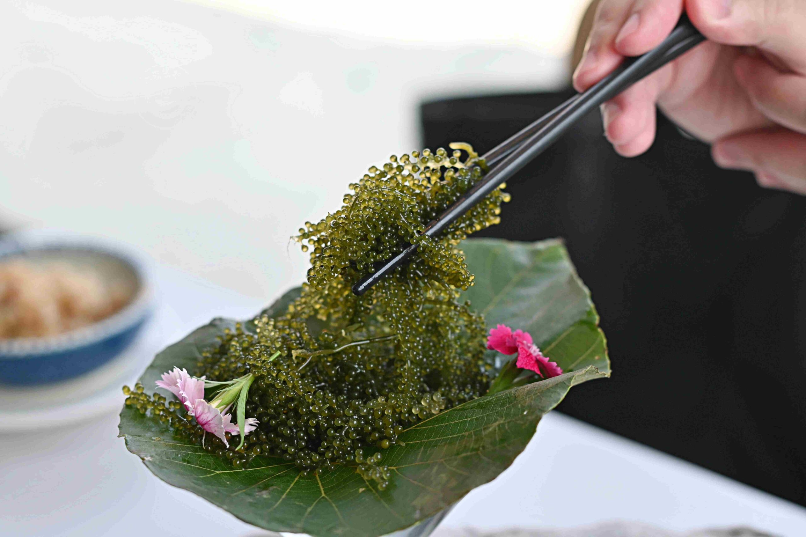 【貢寮美食】懸崖上的餐廳(cilah海的味道),遠眺龜山島無敵視野,濱海公路隱藏版秘境餐廳推薦(菜單) @趙先生吃飯 【貢寮美食】懸崖上的餐廳(cilah海的味道),遠眺龜山島無敵視野,濱海公路隱藏版秘境餐廳推薦(菜單) @趙先生吃飯