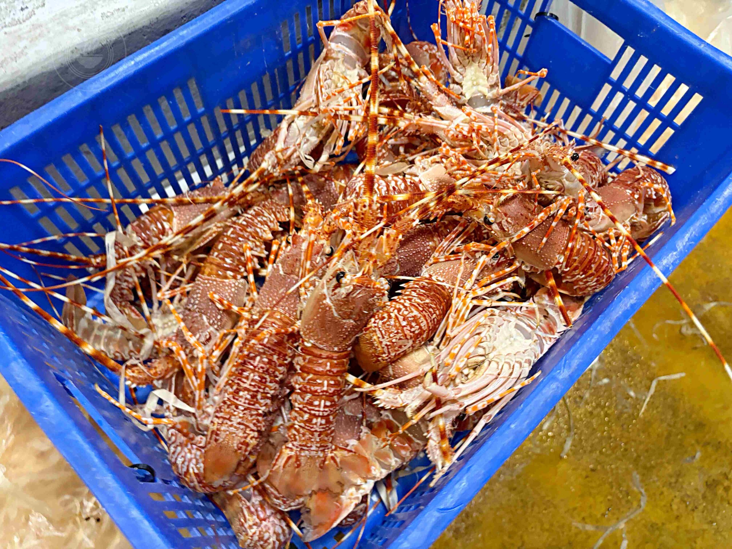 【中山區美食】上引水產，平價厚切生魚片、壽司餐盒，站著吃超有趣推薦(菜單) @趙先生吃飯