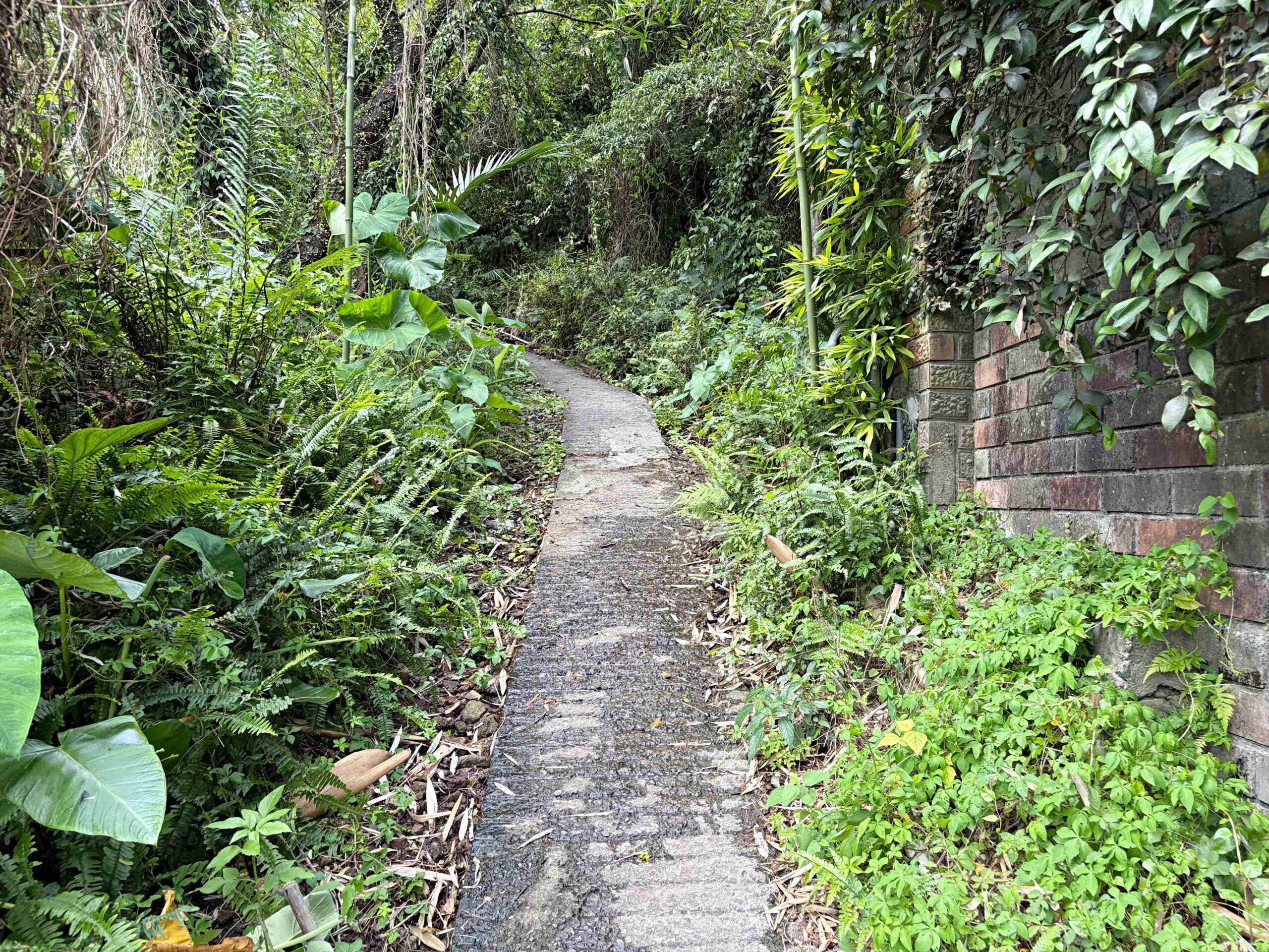 很少人知道這裡，全台最美瀑布吊橋，可以泡腳玩水，沿路都是美景 @趙先生吃飯