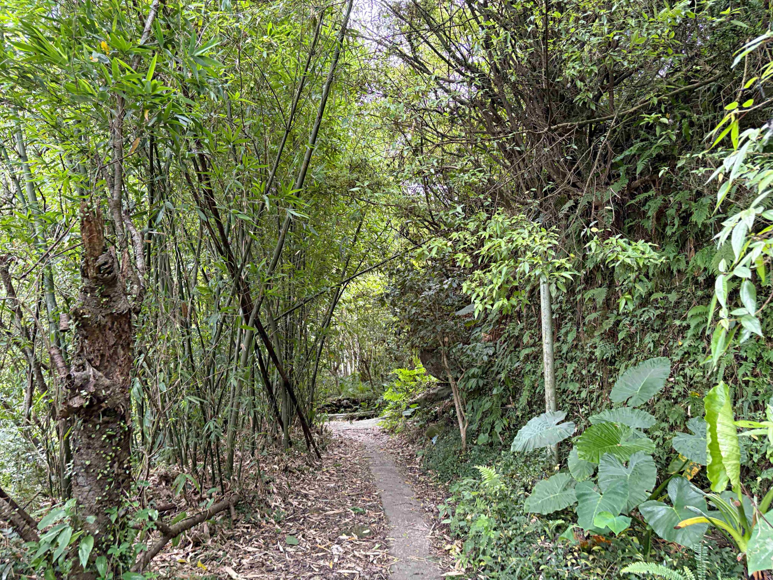 很少人知道這裡，全台最美瀑布吊橋，可以泡腳玩水，沿路都是美景 @趙先生吃飯