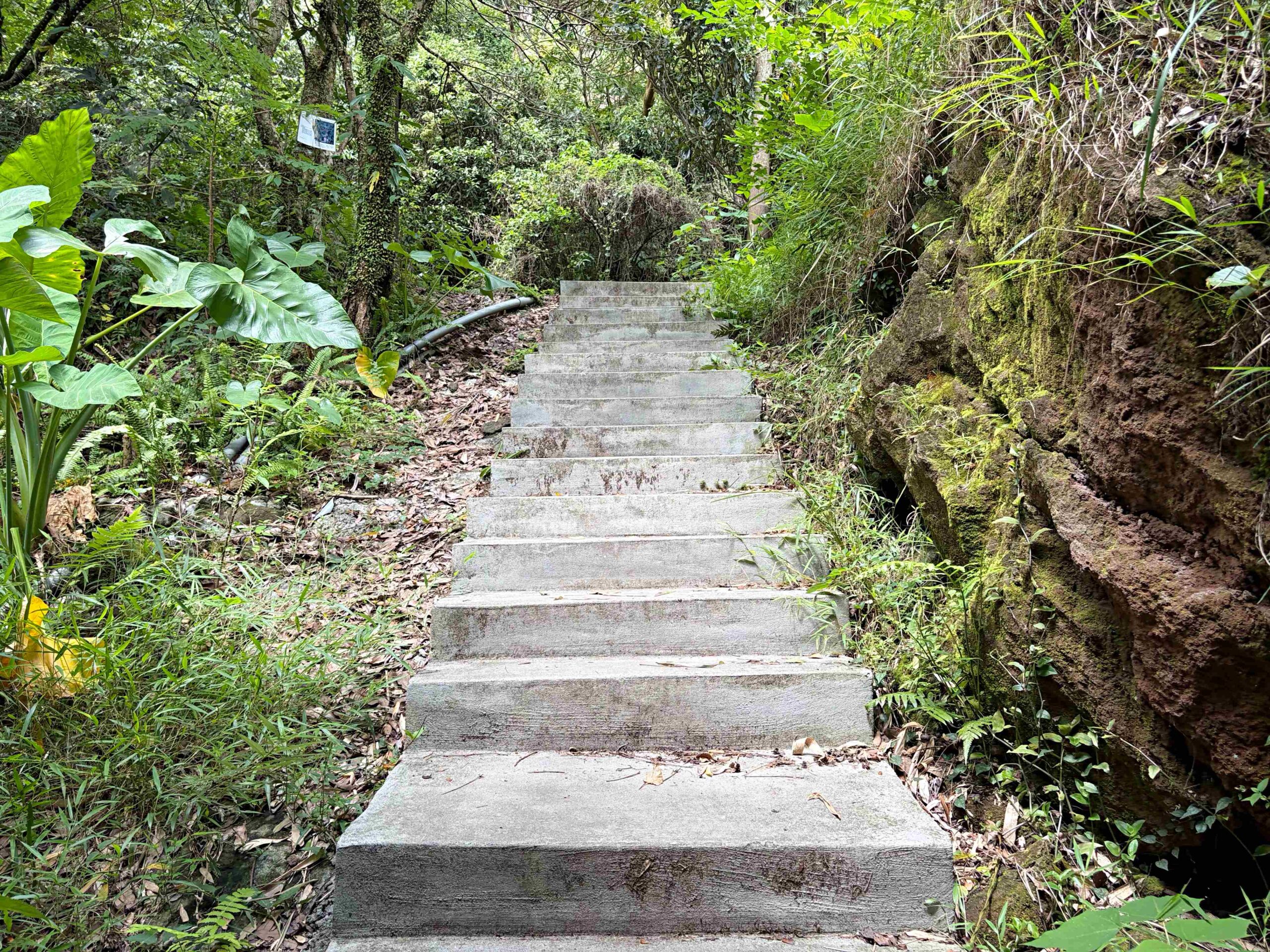 很少人知道這裡，全台最美瀑布吊橋，可以泡腳玩水，沿路都是美景 @趙先生吃飯