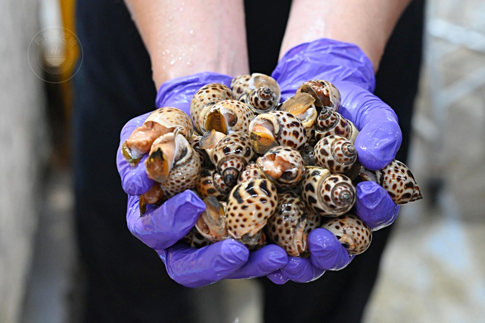 號稱台版築地市場跟水產好市多，海產、生魚片超大盒、牛豬肉無敵好吃 @趙先生吃飯