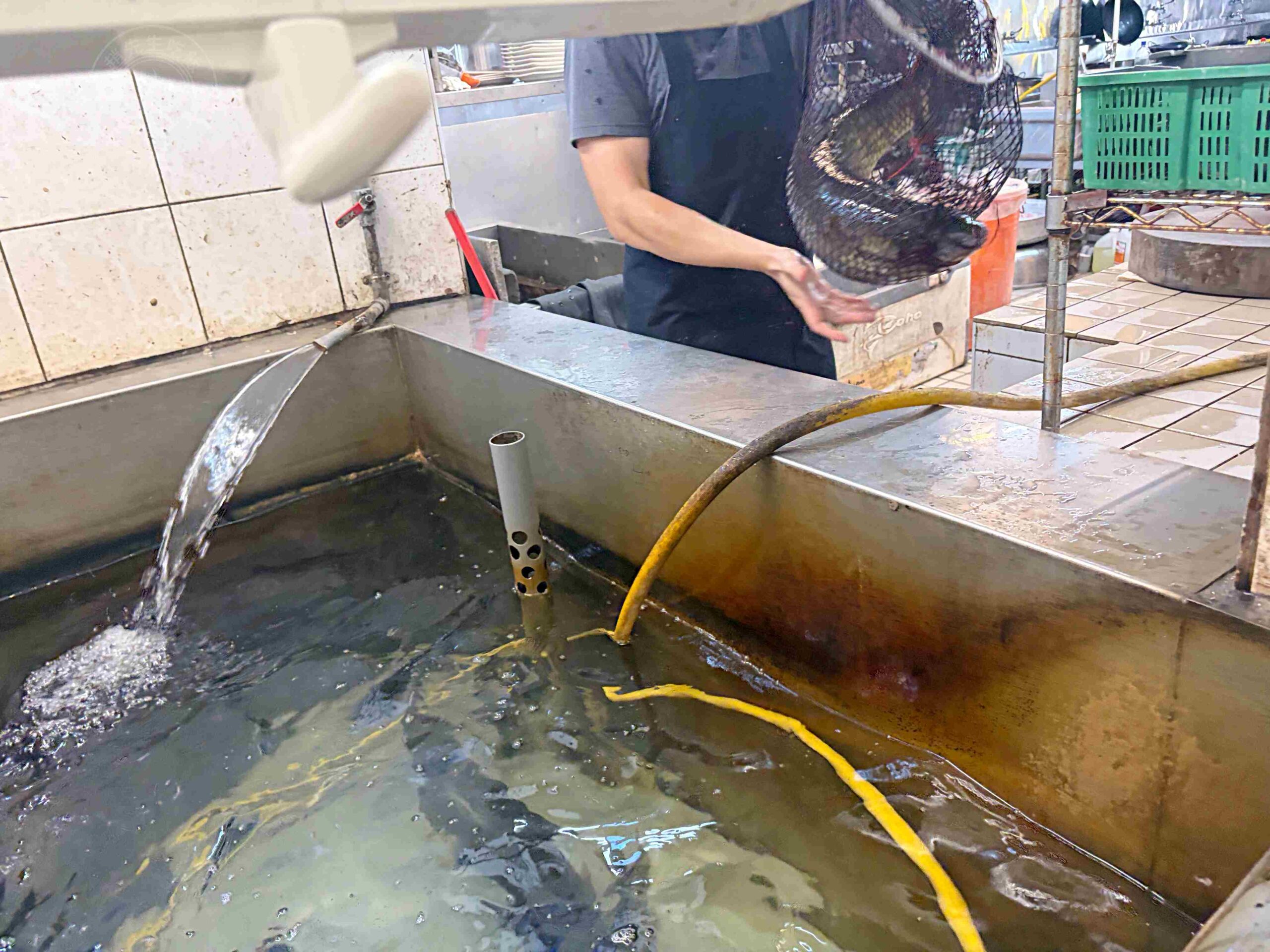 超便宜活魚餐廳,一堆人包遊覽車來吃,砂鍋魚頭、 鄉村油雞都是招牌! @趙先生吃飯 超便宜活魚餐廳,一堆人包遊覽車來吃,砂鍋魚頭、 鄉村油雞都是招牌! @趙先生吃飯