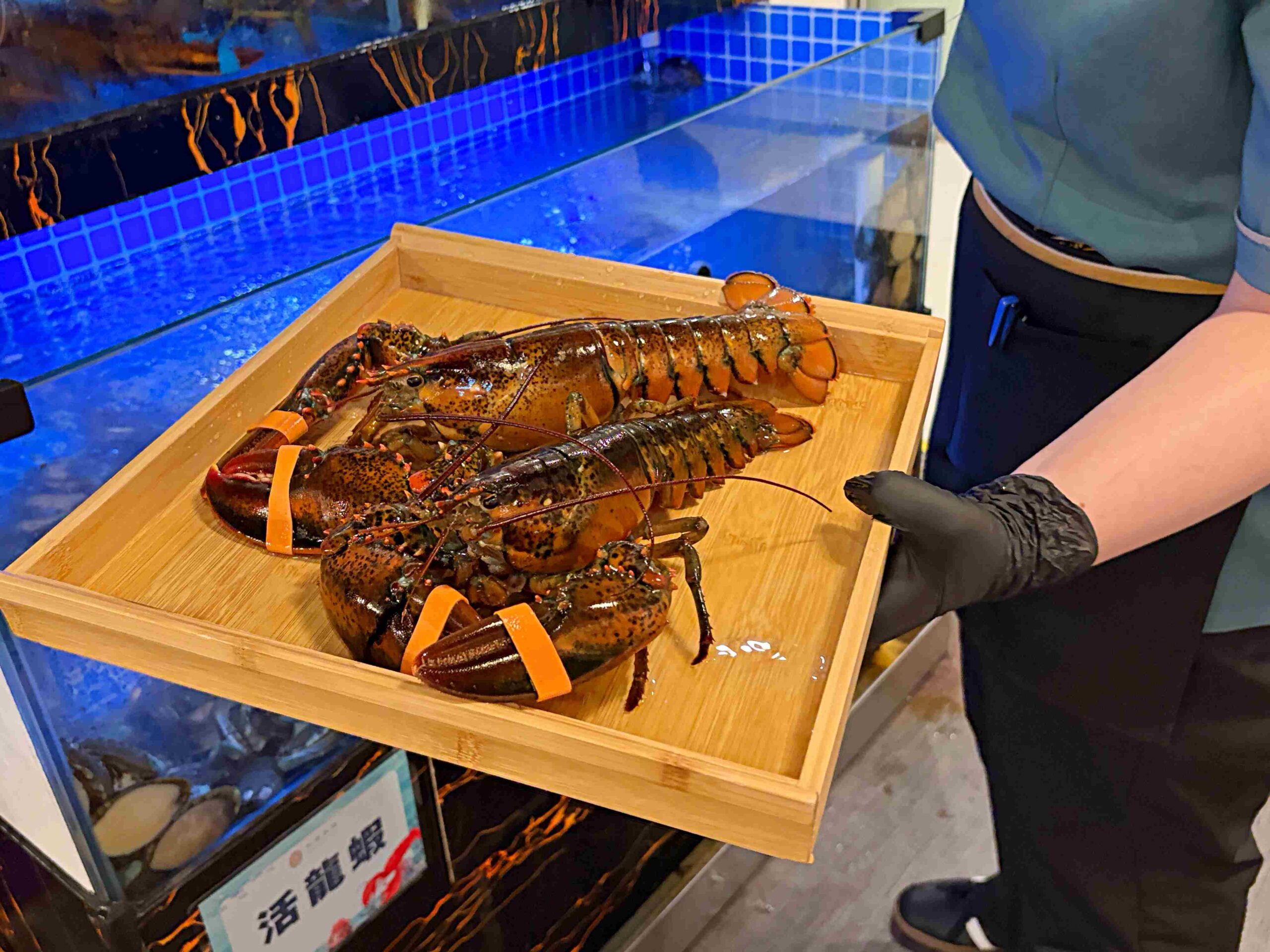 親戚說,不喝驥園雞湯了,改喝這家鮑魚雞湯更好喝,龍蝦還買一送一 @趙先生吃飯 親戚說,不喝驥園雞湯了,改喝這家鮑魚雞湯更好喝,龍蝦還買一送一 @趙先生吃飯
