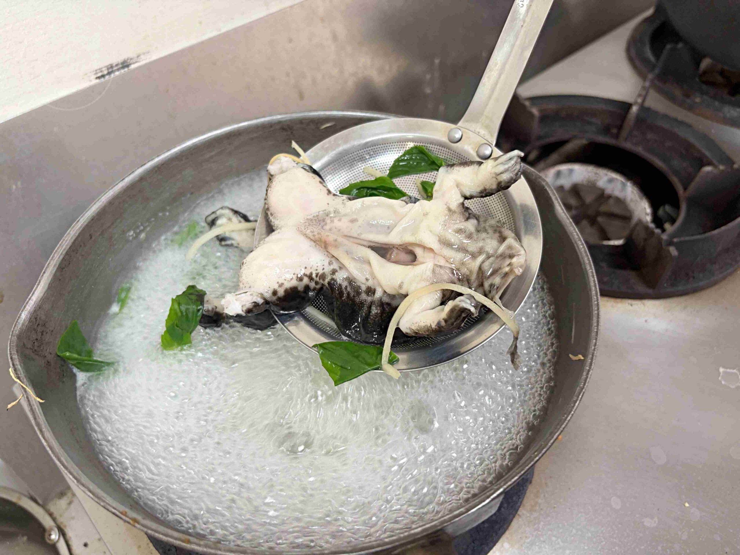 不要隨便給人請客，這家小吃店老闆直接煮整隻青蛙，虱目魚也是招牌！ @趙先生吃飯