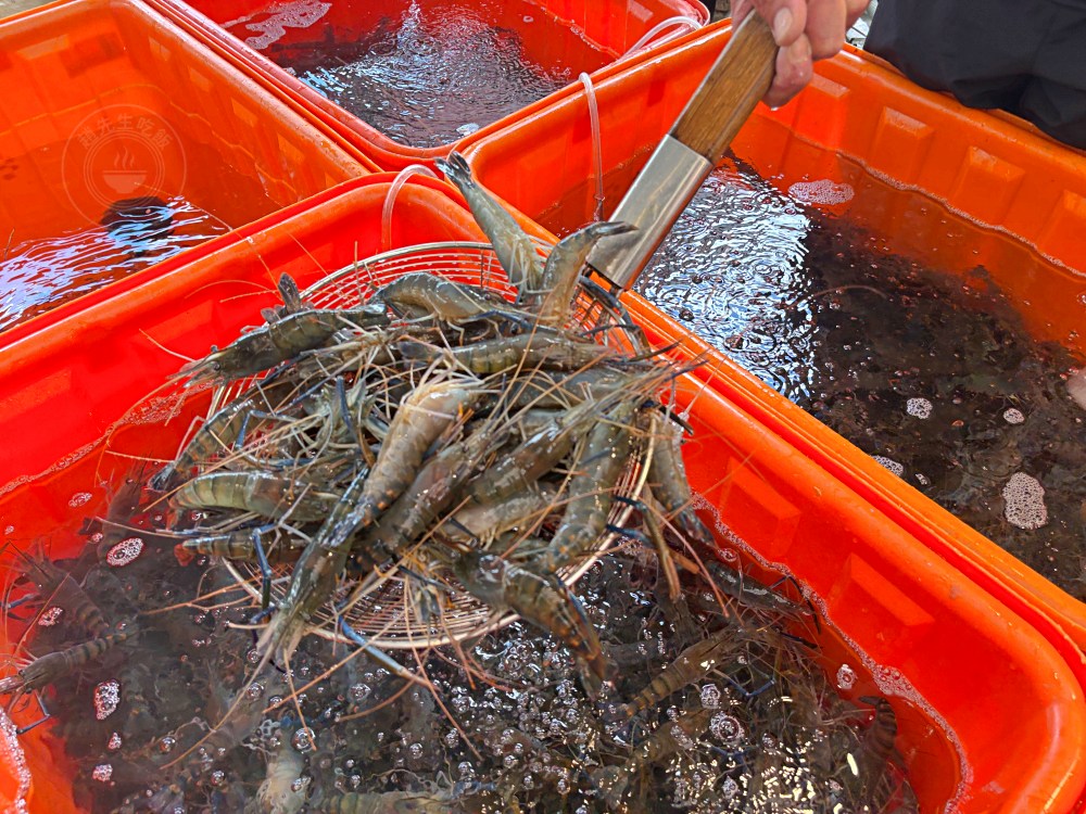 號稱台版築地市場跟水產好市多，海產、生魚片超大盒、牛豬肉無敵好吃 @趙先生吃飯