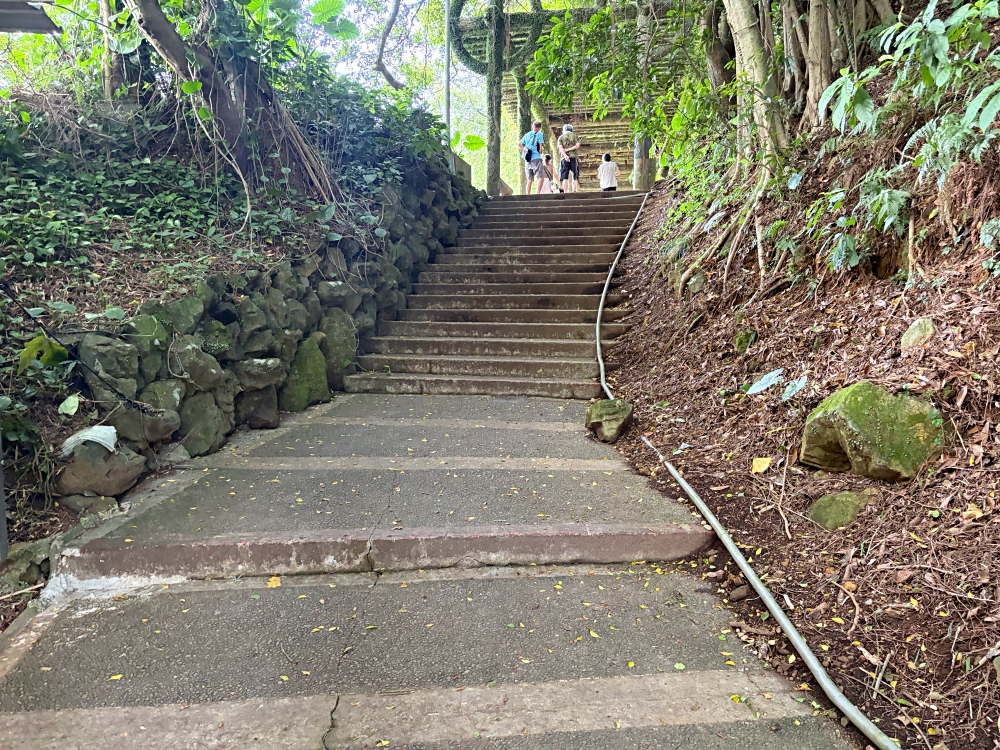 這裡居然在台灣，還以為來到瑞士，遠眺無敵山景，飲料甜點也超好吃！ @趙先生吃飯